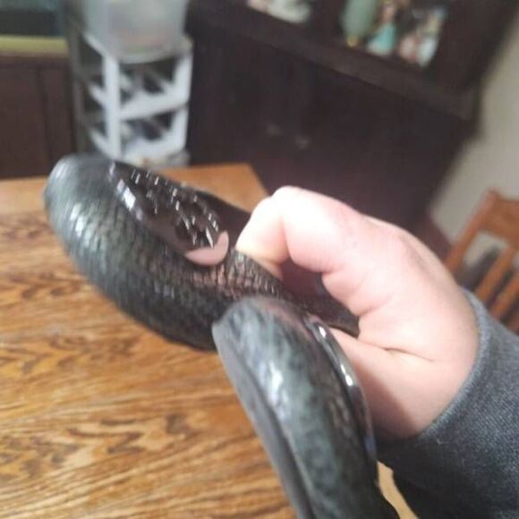 Tory Burch Minnie snakeskin flats - Picture 3 of 5